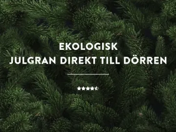 Smålandsgran [[100 kr rabatt]] på julgranar
