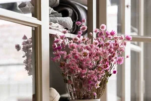 Upplev våra torkade blommor