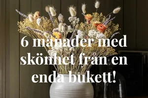 Nej tack till slit- och släng!