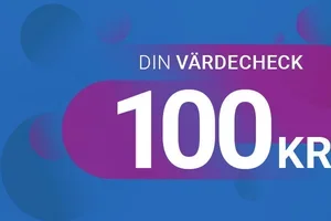 Din värdecheck – 100 kr