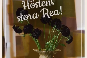 Höstens stora rea är här 🍁 Upp till 50% rabatt