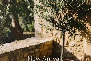 120+ New Arrivals, Curated Just for You