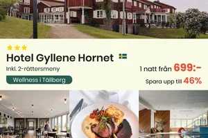 ✨ Veckans Spotlight – avkoppling med utsikt över Siljan