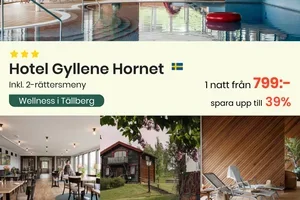 ✨ Veckans special – avkoppling med utsikt över Siljan