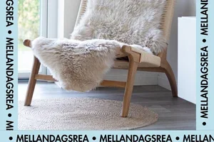 Vi förlänger Mellandasrean 🎉