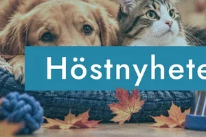 Höstens nyheter rullar in!