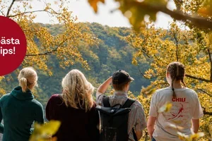 Vilken höstdag längtar du efter? 🍂