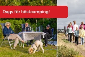 Redo för höstcamping?🍁