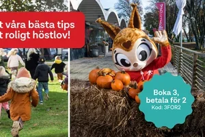 Inga planer för höstlovet? 🎃