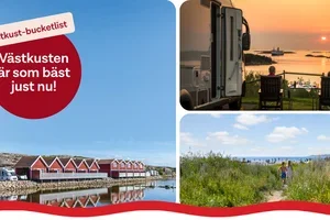Västkusten är som bäst nu! 🌅