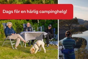 Dags för en campinghelg?🍂