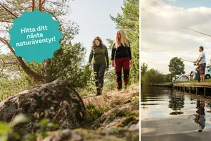 Sensommarens bästa naturtips! 🌿