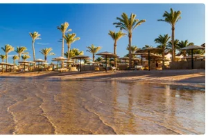 🏖️ Varma vinteräventyr i Nordafrika