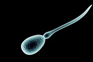 Har din partner god eller dålig...