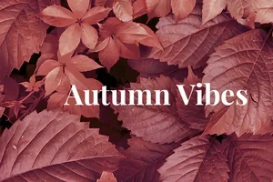 Höstfavoriter, speciellt för dig 🍁