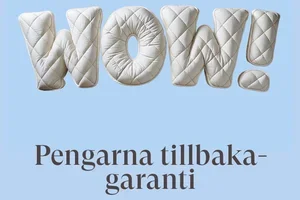 Wow! Pengarna tillbaka-garanti.