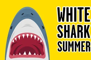 Simma lugnt, inne väntar White Shark 🦈