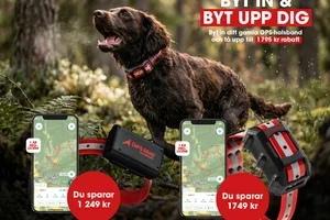 JAKTVECKOR- FOKUS HUND & ELEKTRONIK!