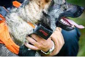 Har du tankar på att byta/skaffa hundpejl?