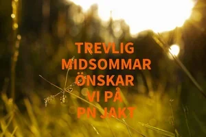 TREVLIG MIDSOMMAR- HÄR KOMMER SOMMARENS BÄSTA UTRUSTNING!