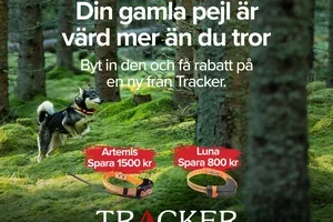 VI TIPSAR DIG OM VÅRA BÄSTA ERBJUDANDEN OCH HETASTE PRODUKTKATEGORIER!