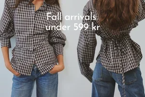 Höstnyheter under 599 kr