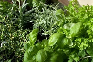 Begränsat antal plantlådor – passa på! 🌿