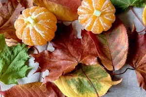 Färgglada nyheter 🧡