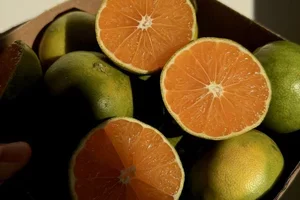 Nytt i butiken: Säsongens första satsumas 🍊
