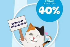 Just nu! 40% Canvas & Posters 🍁
