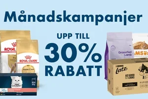 Se månadens kampanjer hos VetZoo 💙
