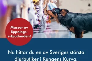 VetZoo Megastore öppnar imorgon! 💙