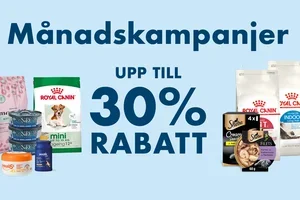 ☀️ Missa inte månadens erbjudanden 💙