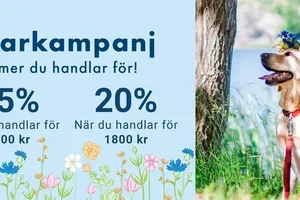 🌼 Midsommarkampanj: upp till 20 % rabatt