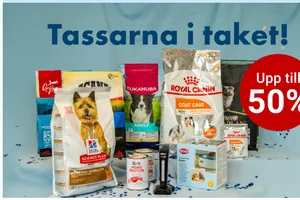 Tassarna i taket - VetZoo-Kalaset är här! 🎉