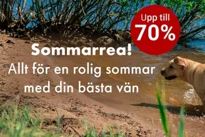 🌞 Sommarrea: upp till 70 % rabatt!
