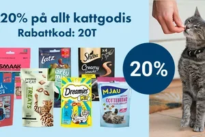 🐱 Skäm bort katten: 20 % på allt godis