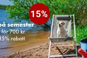 🙀 VD:n är på väg tillbaka – sista chansen på 15 %