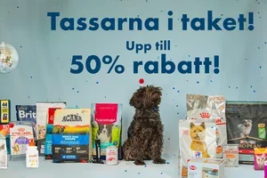 Få dagar kvar: VetZoo-Kalaset slutar på söndag 🎉