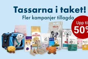 Sista chansen: VetZoo-Kalaset slutar idag! 🎉