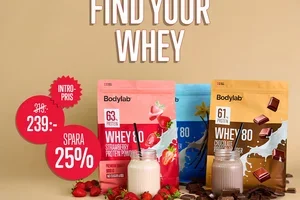 Är Whey 80 det perfekta proteinpulvret för dig?