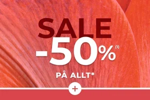 ⏳ Sista dagarna på rean