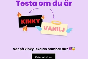 Kinky eller vanilj? 😈😇
