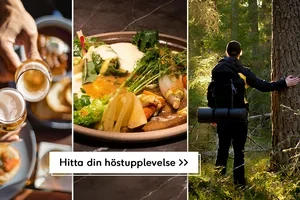 🚨NYHET! Först höstfys, sen höstmys!