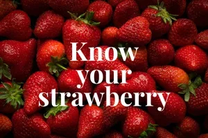 🍓 En närmare titt på jordgubbar