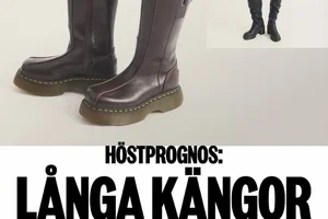Stå stadigt i höst
