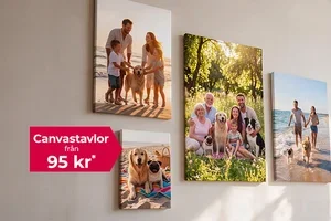 🐕 Slutar i kväll: spara på din hunds Canvastavla