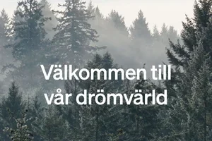 Välkommen till vår drömvärld 