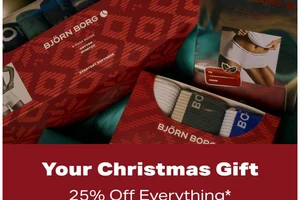 Your Christmas Gift: 25% Off Everything