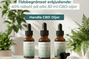 Din kropps dolda hjälte 🥇